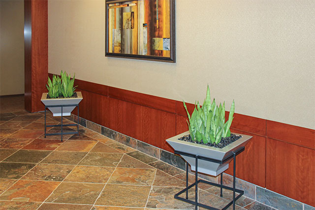 Indoor Plant Design Houston Tx - building lobby interior landscape